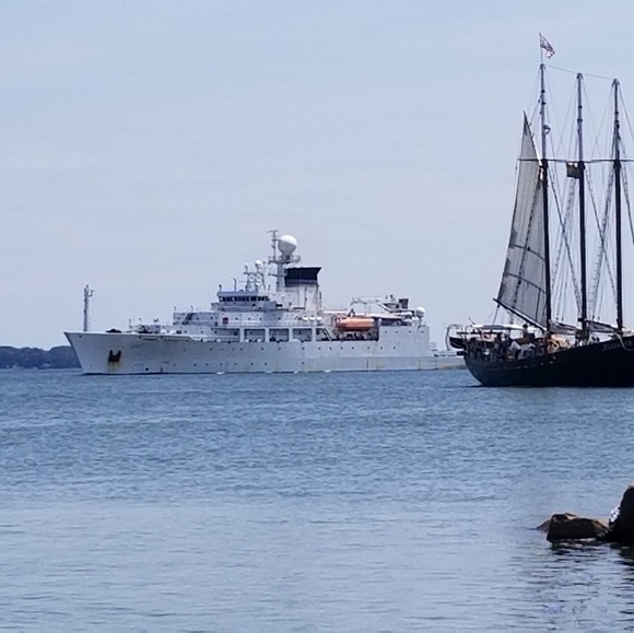 Meet your Posher, Michelle - Picture 1 of 1